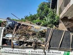 Best Demolition Debris Removal  in Rome, IL